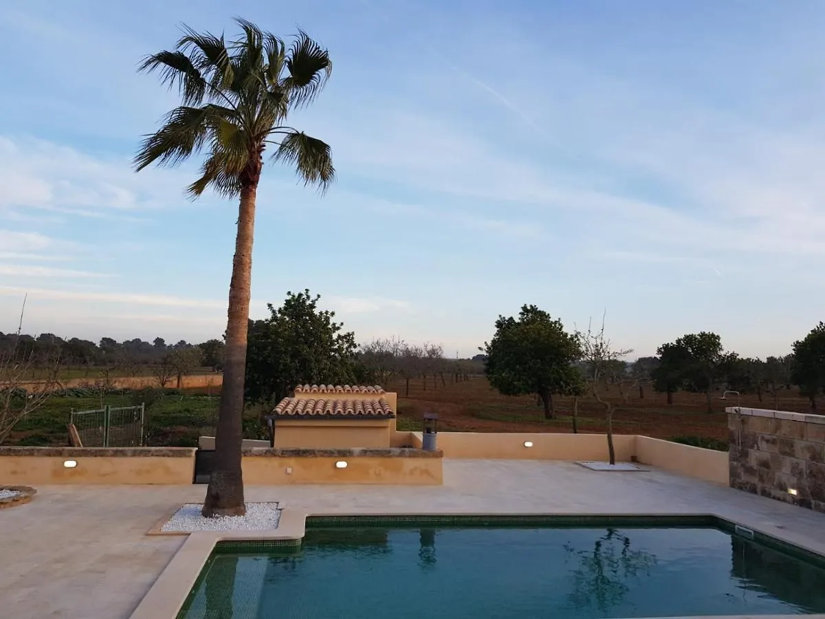 לןקמאג'ור Villa Dinastia Resort Lujo